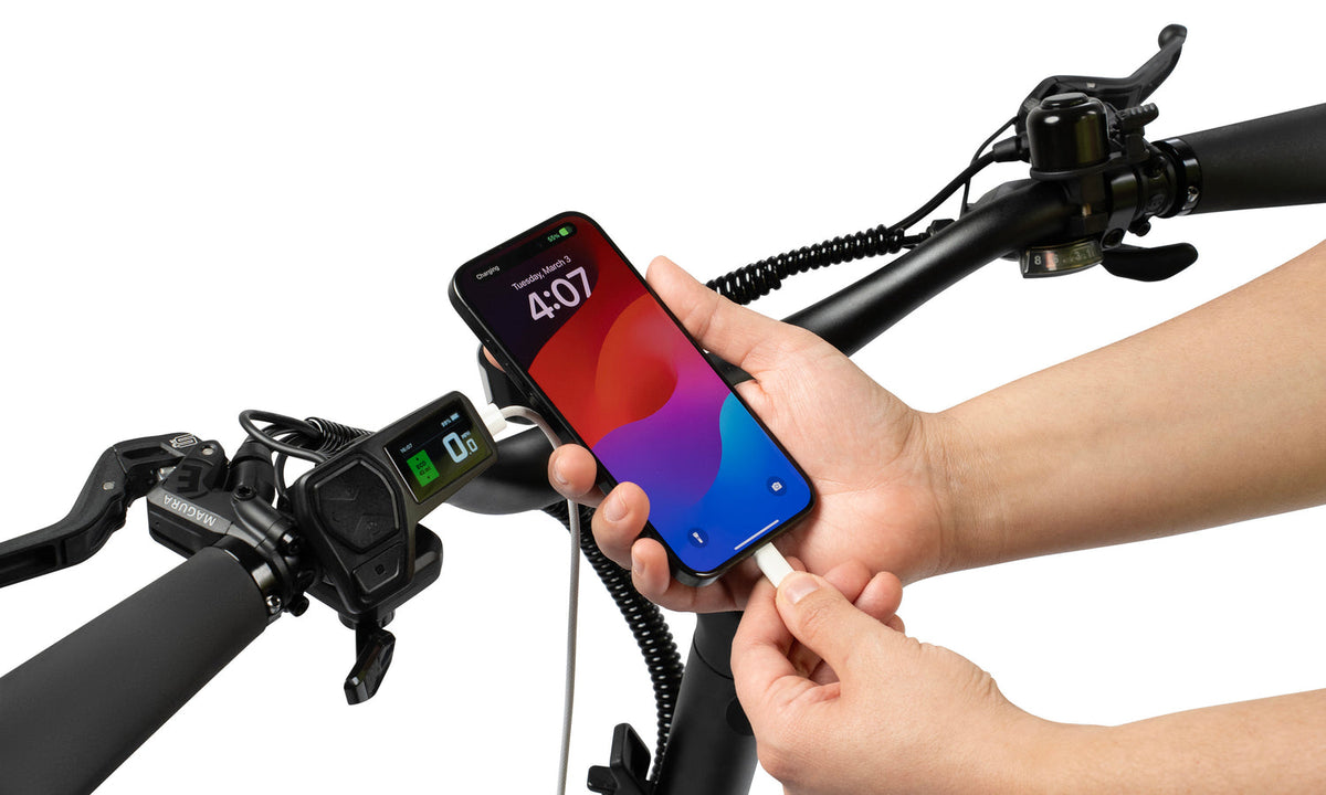 Radio Flyer Loop E-Bike