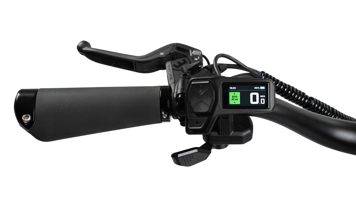 Radio Flyer Loop E-Bike
