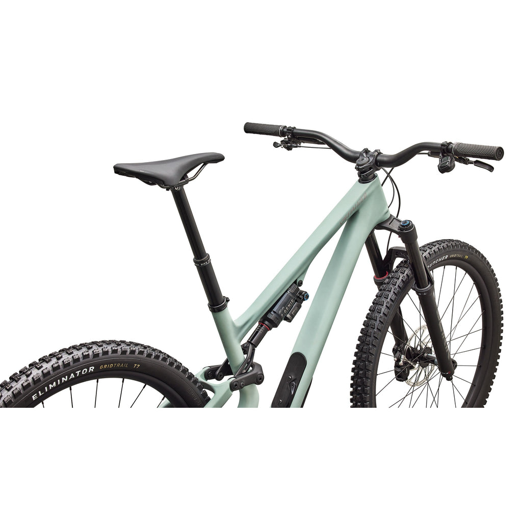 Stumpjumper 15 EVO Expert