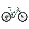 Stumpjumper 15 EVO Expert