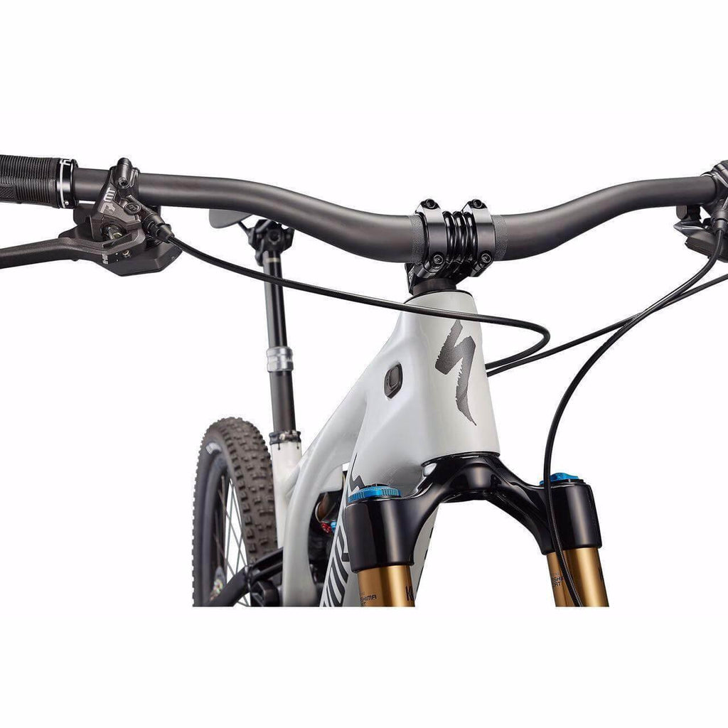 S-Works Turbo Levo